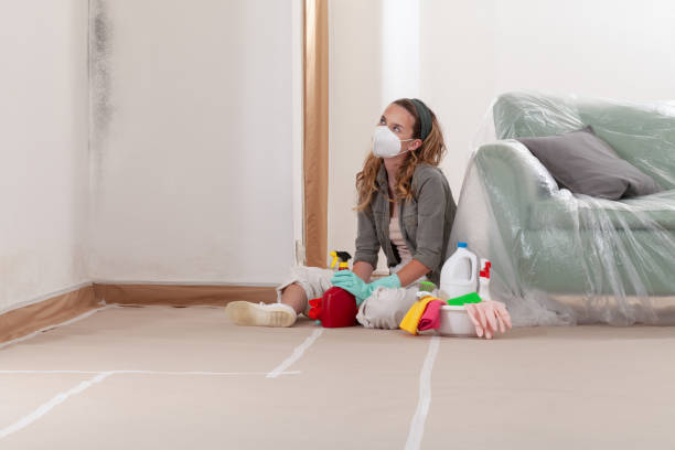 Reliable Mold Remediation contractor in Greenville, FL by 24 Hour Mold Removal